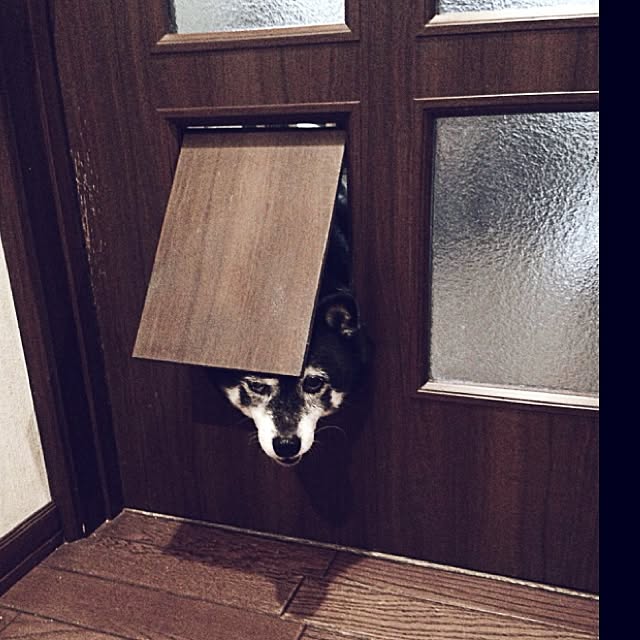 jnkaiさんの実例写真