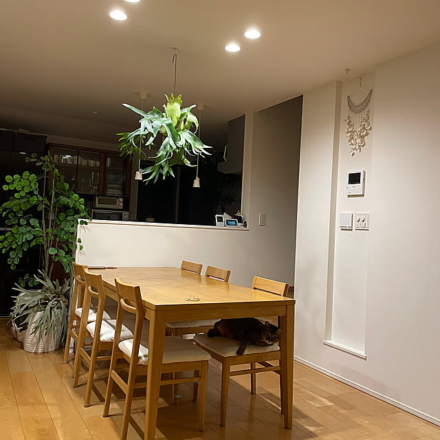 halさんの実例写真