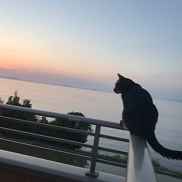 noraさんの実例写真