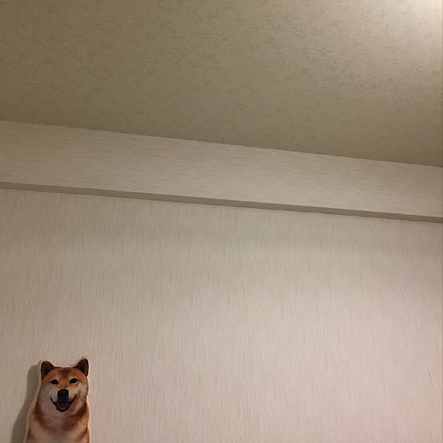 wakaさんの実例写真