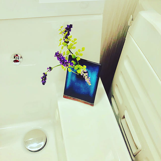 花のある暮らし/観葉植物/バス/トイレのインテリア実例 - 2019-05-14 08:51:34