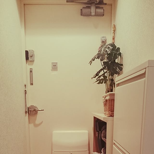 玄関/入り口のインテリア実例 - 2015-04-19 10:02:51