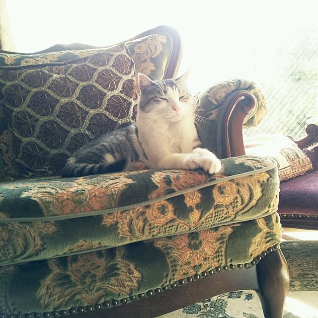 emmyyさんの実例写真