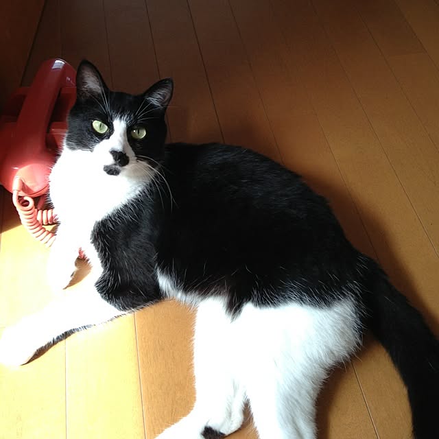 utataneさんの実例写真