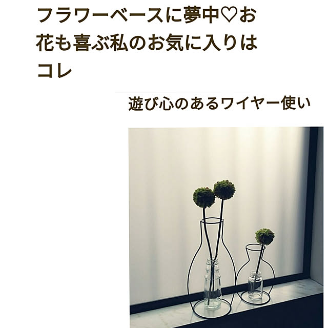 Renさんの実例写真