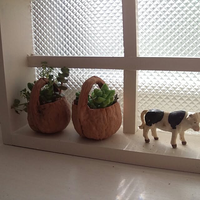 kokkomachaさんの実例写真