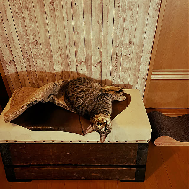 Mさんの実例写真