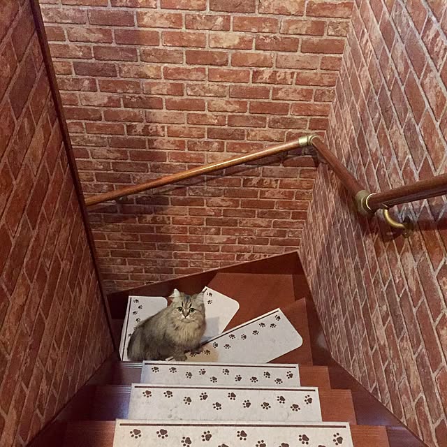 butachanさんの実例写真