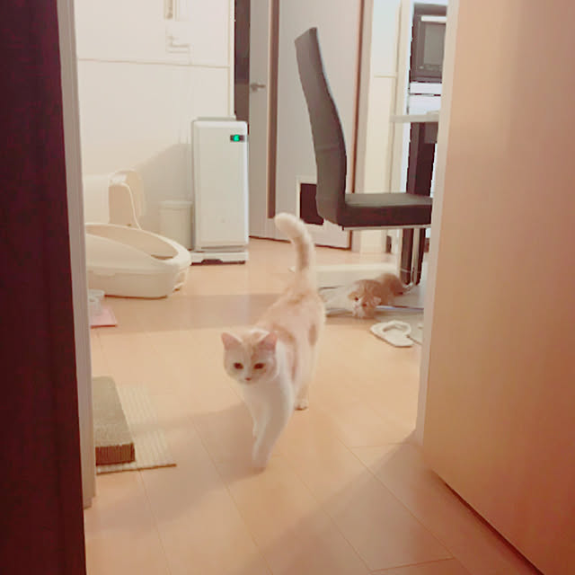 H.Tさんの実例写真