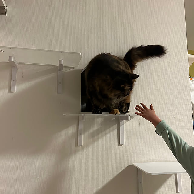 mikomaruさんの部屋