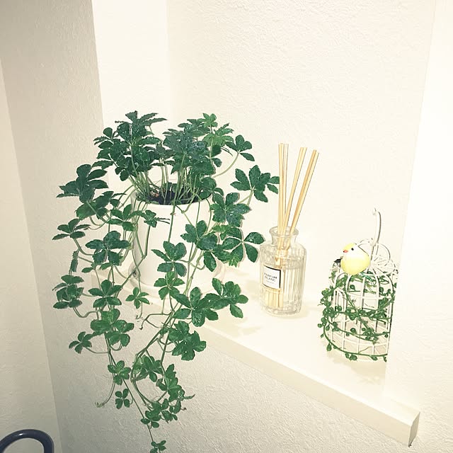 lunamamajunkoさんの実例写真