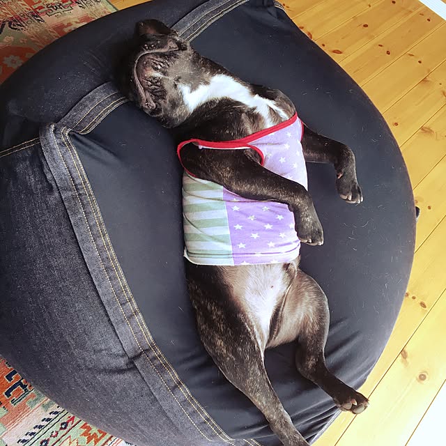 Ka_Kaさんの実例写真