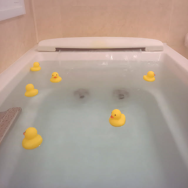 satoさんの実例写真