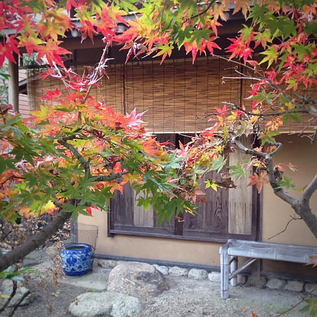 季節を感じる暮らし/庭仕事は自分で/茶室のある家/木のある暮らし/中古住宅...などのインテリア実例 - 2021-10-06 16:16:19