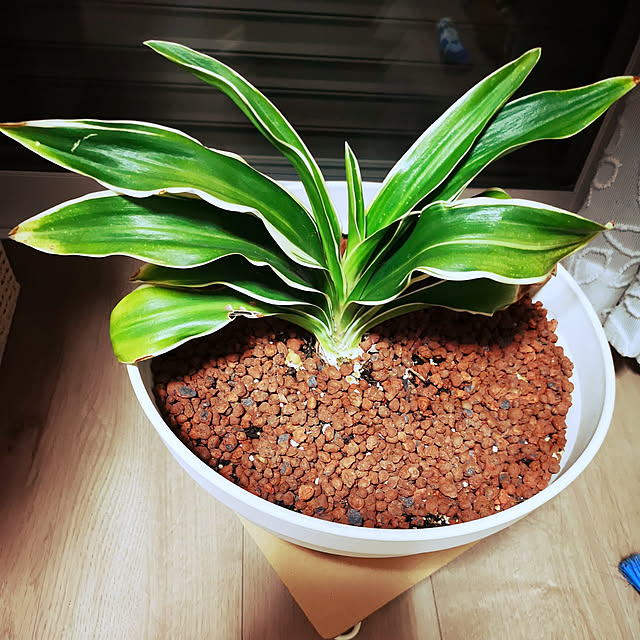 ketayuさんの実例写真