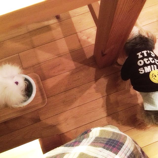 popiさんの実例写真