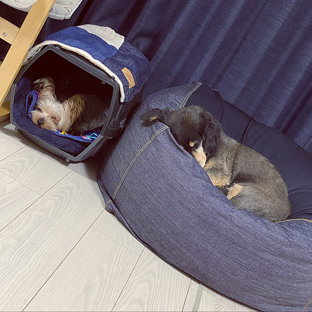 ohanaさんの実例写真
