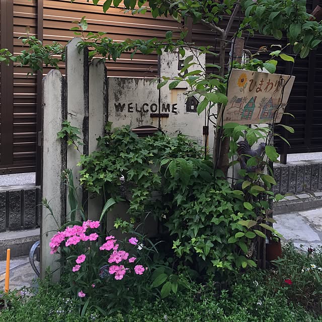 yukikkoさんの実例写真