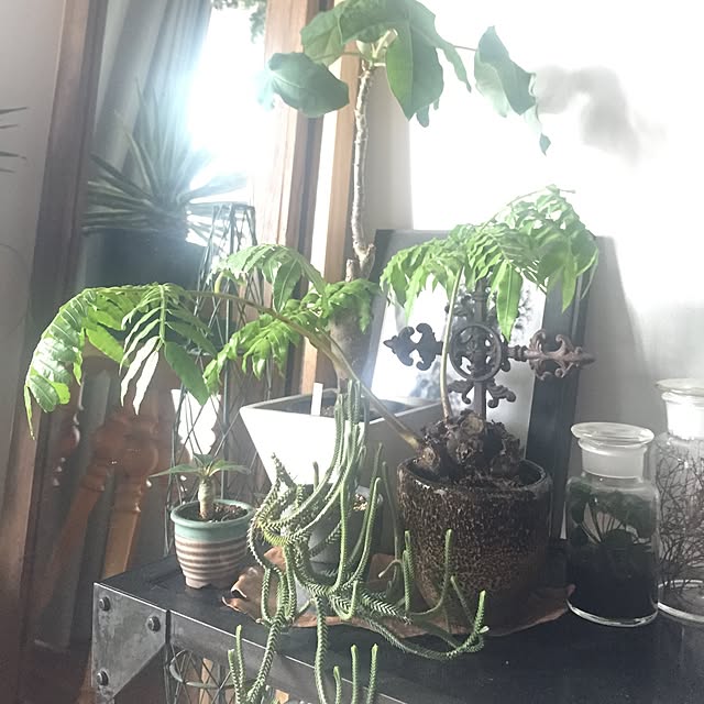 tkさんの実例写真