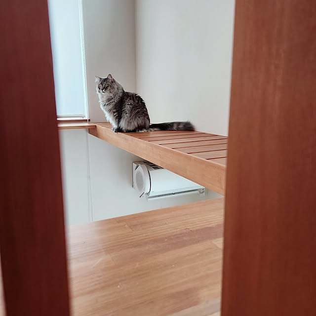 kossyさんの部屋