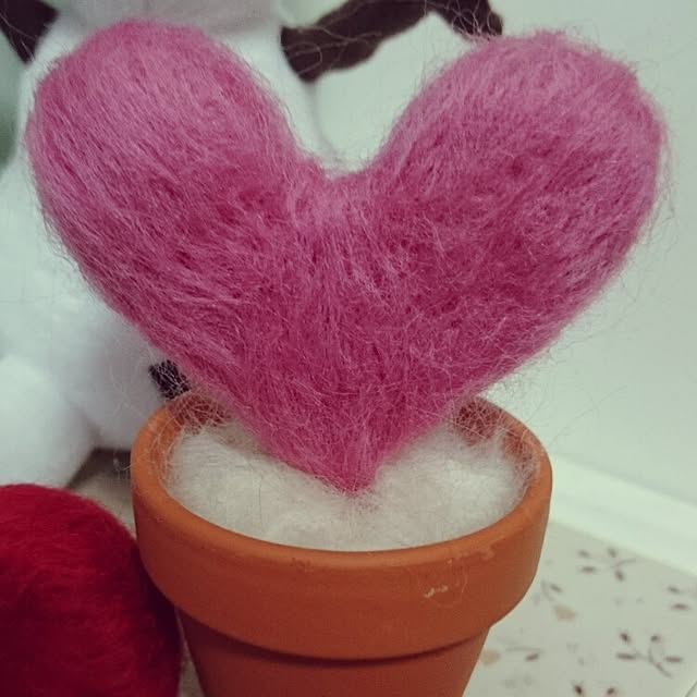 akkoさんの実例写真