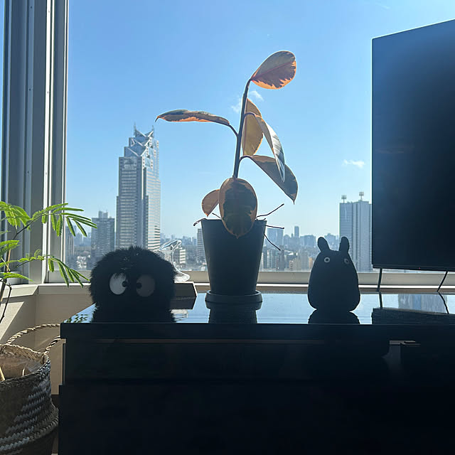 sheetaさんの実例写真