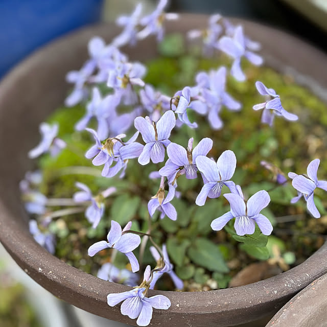 buchiさんの部屋