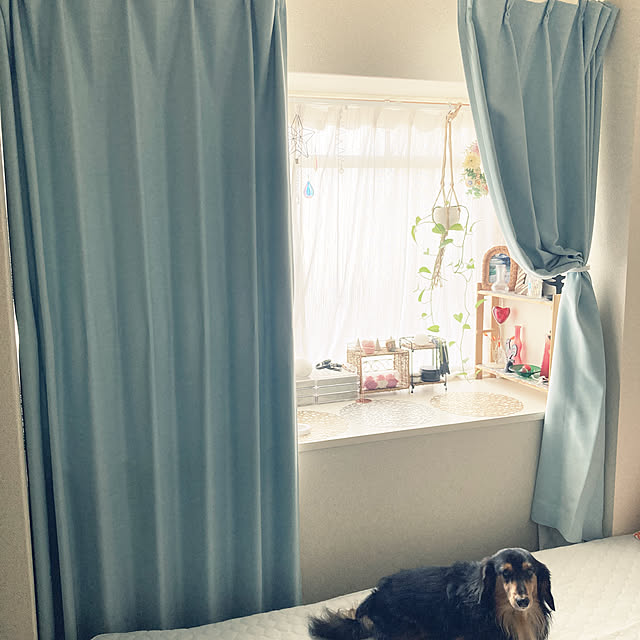 Chikuwaさんの実例写真