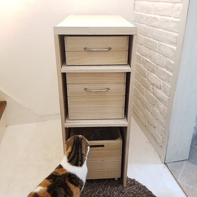mikiさんの実例写真