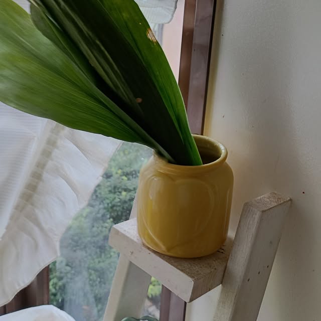 coco1204さんの部屋