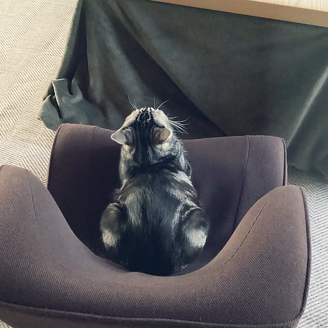 richanさんの部屋
