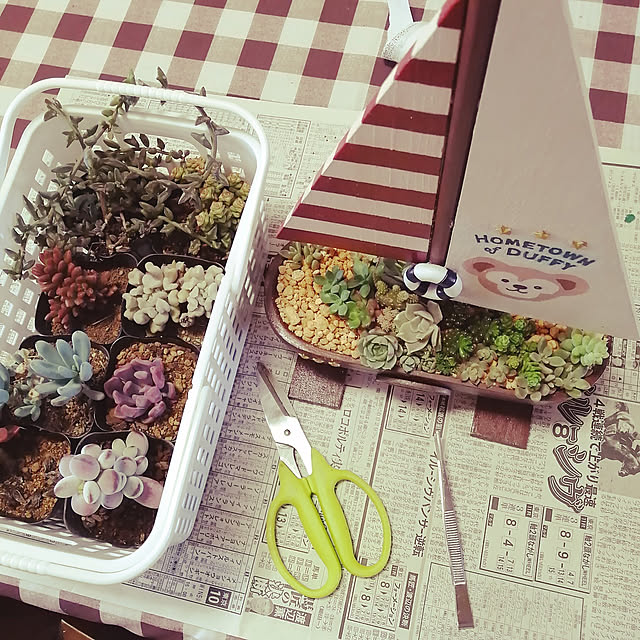teruminさんの実例写真