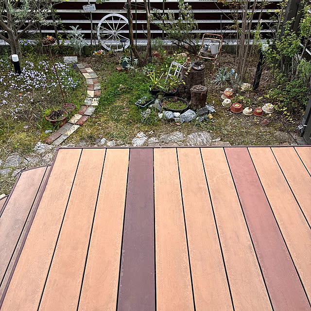 ayayayayaさんの実例写真