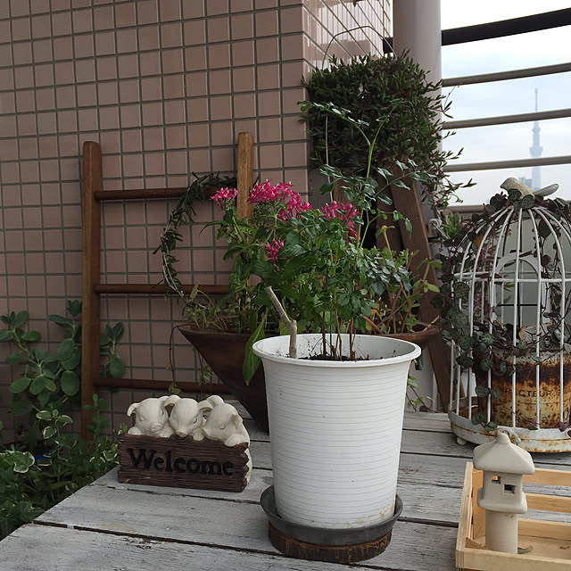 HKSさんの実例写真