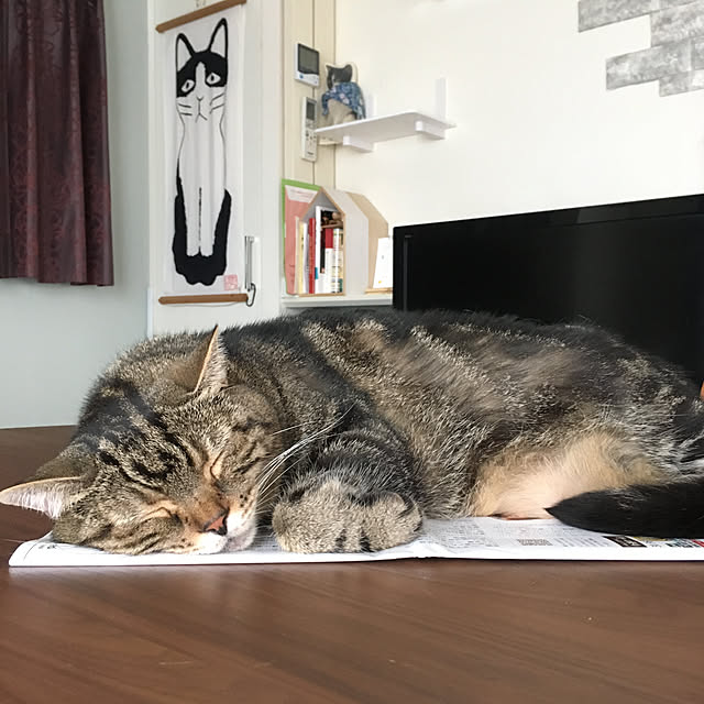 mikomaruさんの実例写真