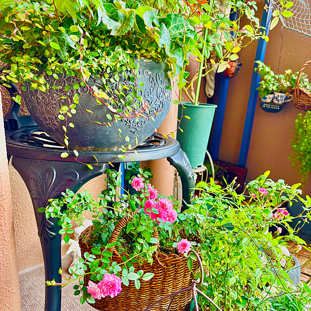 naokoさんの実例写真