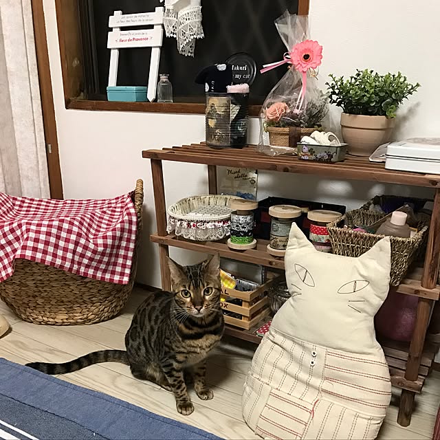 xxxnyanxxxmakuriさんの実例写真