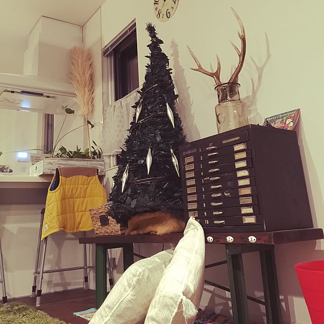 wakaさんの実例写真