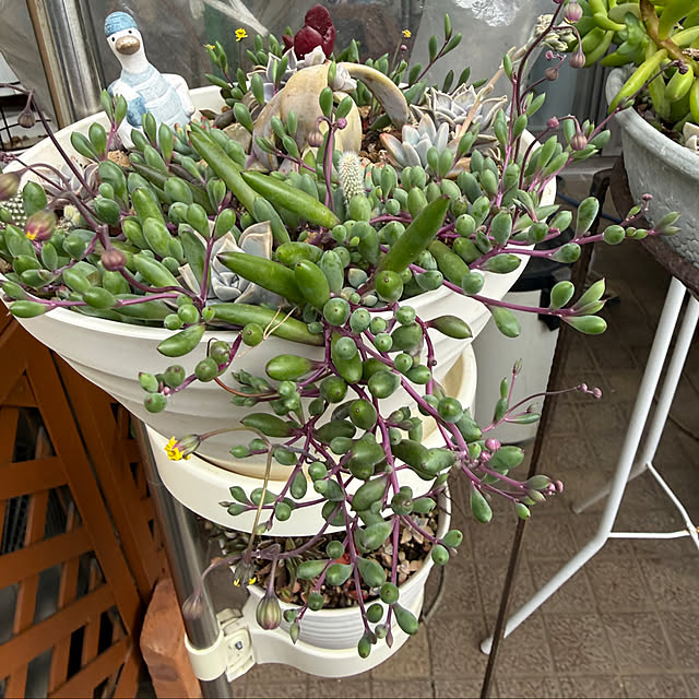 Aqettyさんの部屋