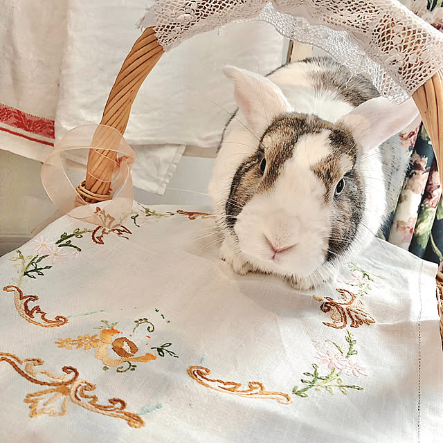 Hatsuneさんの実例写真