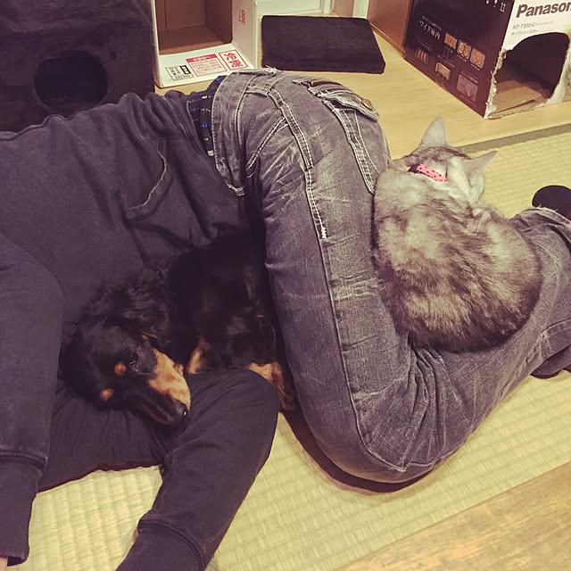 LEMONさんの実例写真