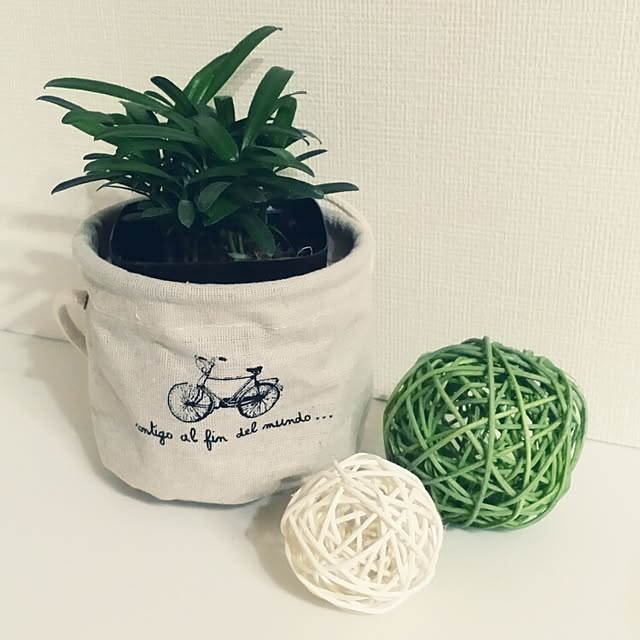 Rikokkumamaさんの実例写真