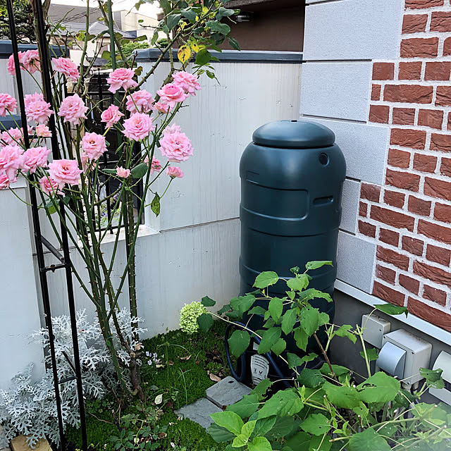 yuchiさんの実例写真