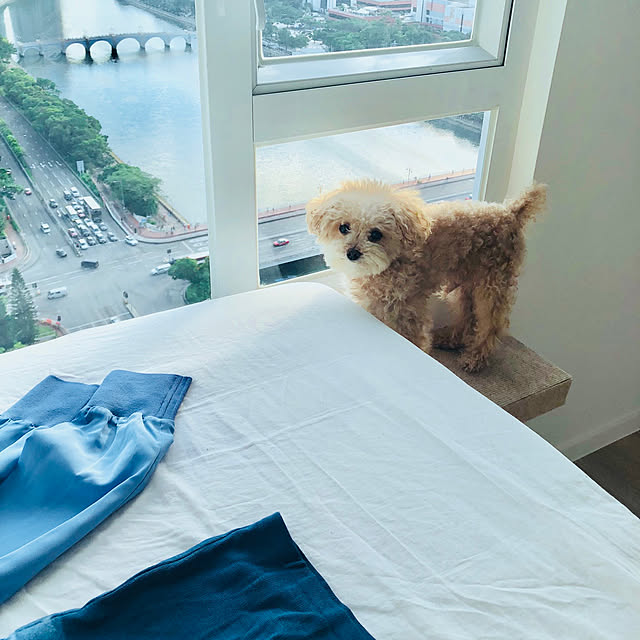BONEさんの実例写真