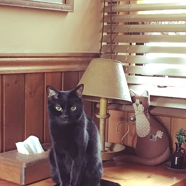 tabasaさんの実例写真