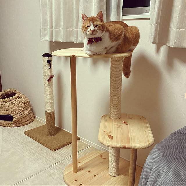 nagashimanさんの実例写真