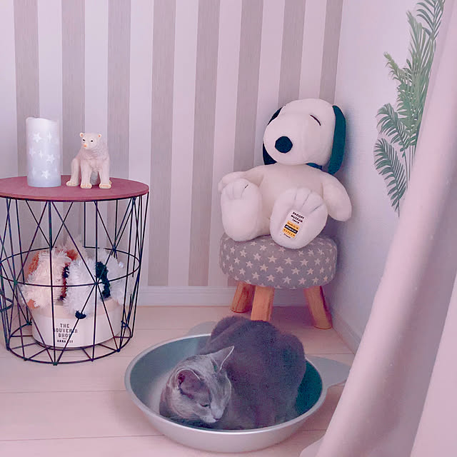 snoopyさんの実例写真