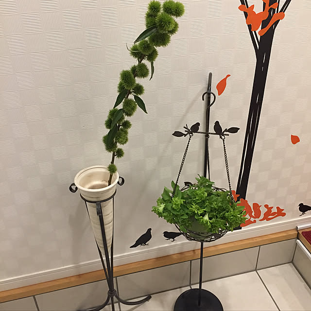 fu-mufumuさんの実例写真