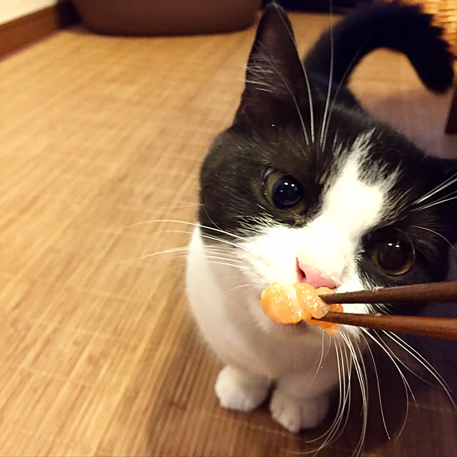 butachanさんの実例写真