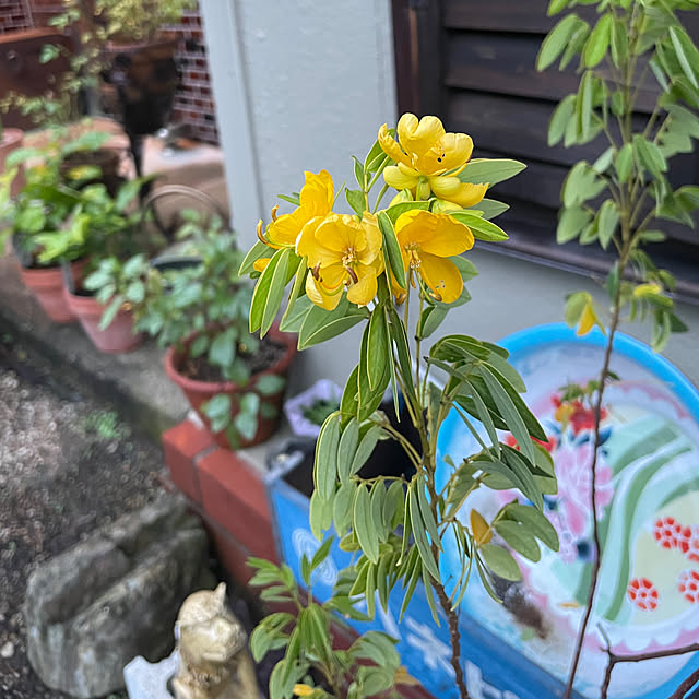 shin0719さんの部屋